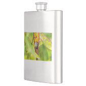 ruhige Bindung Flachmann (Links)