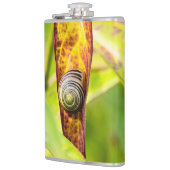 ruhige Bindung Flachmann (Links)