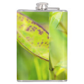 ruhige Bindung Flachmann (Rückseite)