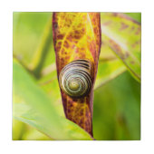 ruhige Bindung Fliese (Vorderseite)