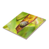 ruhige Bindung Fliese (Seite)