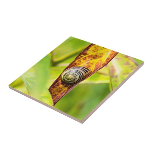 ruhige Bindung Fliese (Seite)