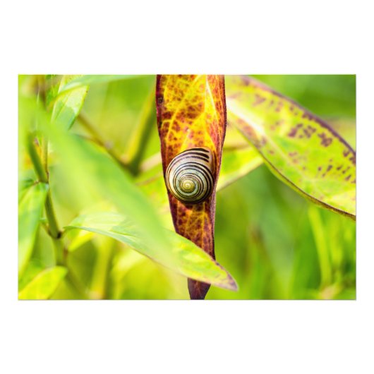 ruhige Bindung Fotodruck (Vorne)