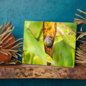 ruhige Bindung Fotoplatte (Seite)