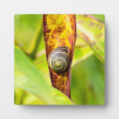 ruhige Bindung Fotoplatte (Vorderseite)