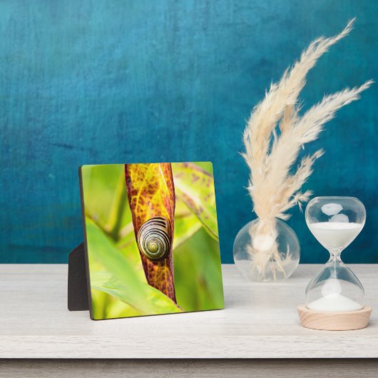 ruhige Bindung Fotoplatte (InSitu)