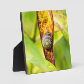 ruhige Bindung Fotoplatte (Vorderseite)