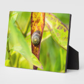 ruhige Bindung Fotoplatte (Seite)