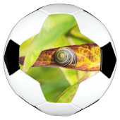 ruhige Bindung Fußball (Gedreht)