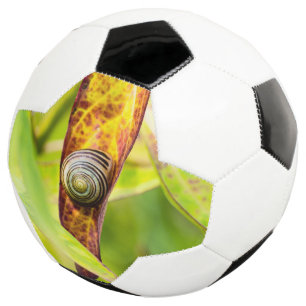 ruhige Bindung Fußball