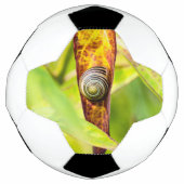 ruhige Bindung Fußball (Vorderseite)