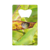 ruhige Bindung Geldbeutel Flaschenöffner (Vorderseite)