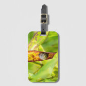 ruhige Bindung Gepäckanhänger (Vorderseite Vertikal)