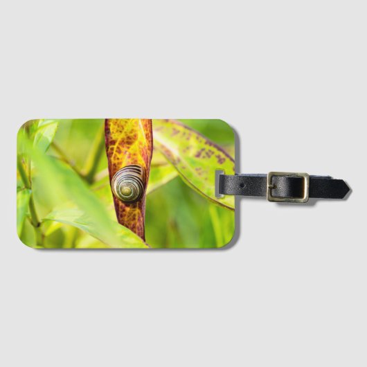 ruhige Bindung Gepäckanhänger (Vorderseite (Horizontal))