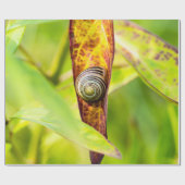 ruhige Bindung Geschenkpapier (Flach)