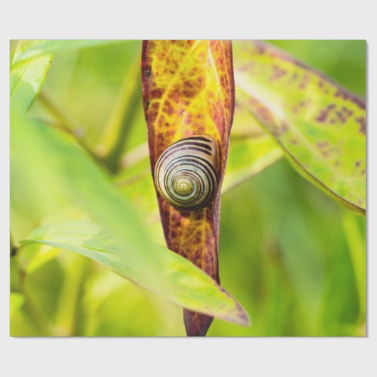 ruhige Bindung Geschenkpapier (Flach)