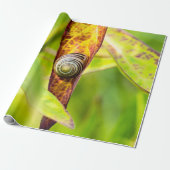 ruhige Bindung Geschenkpapier (Ungerollt)