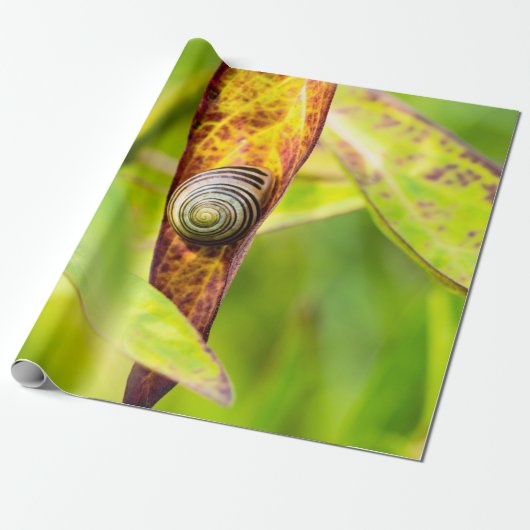 ruhige Bindung Geschenkpapier (Ungerollt)