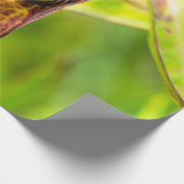 ruhige Bindung Geschenkpapier (Ecke)