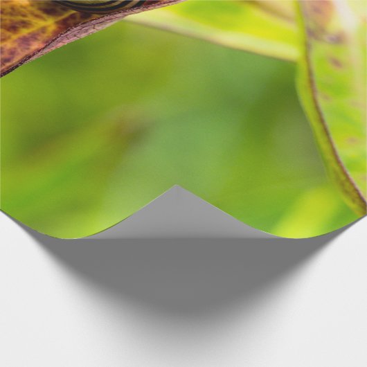 ruhige Bindung Geschenkpapier (Ecke)