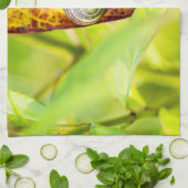 ruhige Bindung Geschirrtuch (Gefaltet)