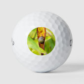 ruhige Bindung Golfball (Vorderseite)