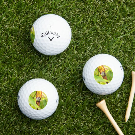 ruhige Bindung Golfball (Insitu Gras)