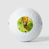 ruhige Bindung Golfball (Vorderseite)