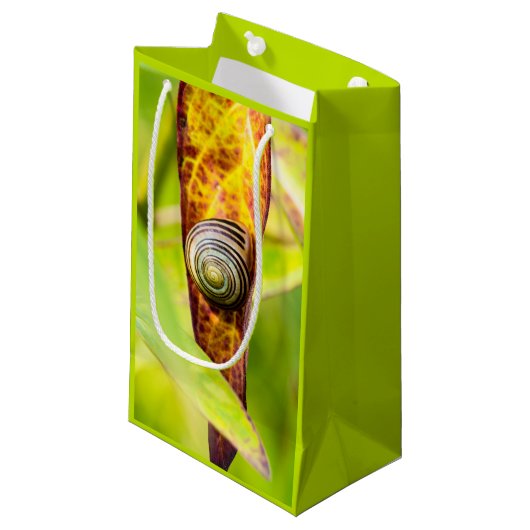 ruhige Bindung Kleine Geschenktüte (Vorderseite Schrägansicht)
