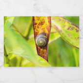 ruhige Bindung Lebensmitteletikett (Einzelnes Label)