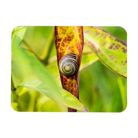 ruhige Bindung Magnet (Horizontal)