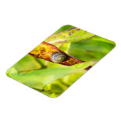 ruhige Bindung Magnet (Linke Seite)