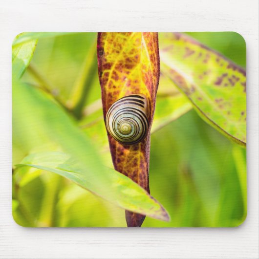 ruhige Bindung Mousepad (Vorne)