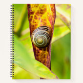 ruhige Bindung Notizblock (Vorderseite)