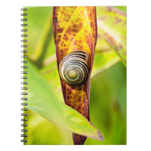 ruhige Bindung Notizblock (Vorderseite)