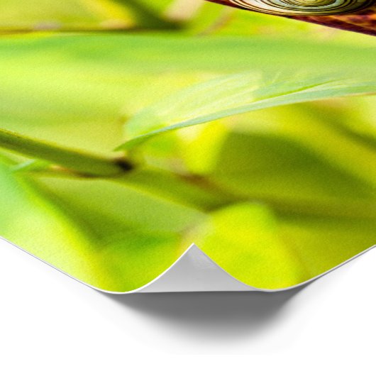 ruhige Bindung Poster (Ecke)