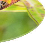 ruhige Bindung Schneidebrett (Ecke)