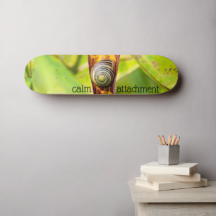 ruhige Bindung Skateboard