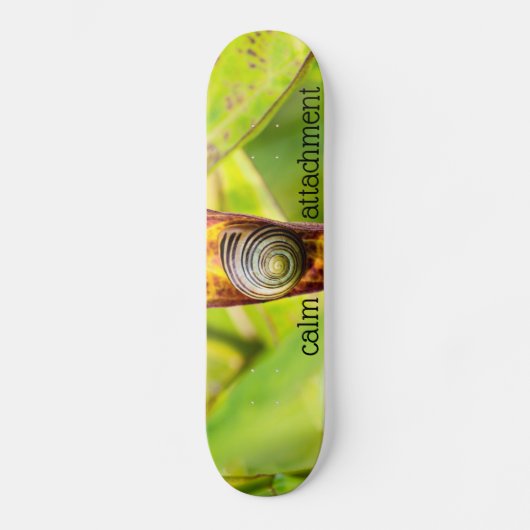 ruhige Bindung Skateboard (Vorderseite)
