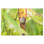 ruhige Bindung Stoff (Yard (91,4 cm))