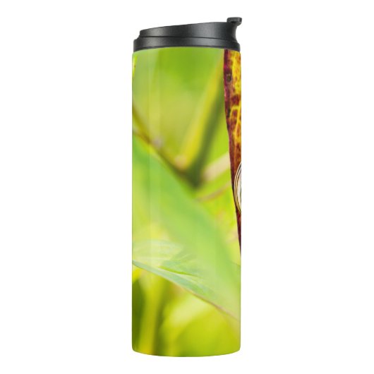 ruhige Bindung Thermosbecher (Nach links gedreht)