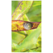 ruhige Bindung Tischdecke (Vorderseite)