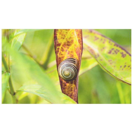 ruhige Bindung Tischdecke (Vorderseite (Horizontal))