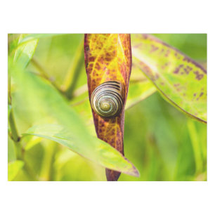 ruhige Bindung Tischdecke