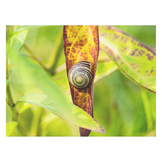 ruhige Bindung Tischdecke (Vorderseite (Horizontal))