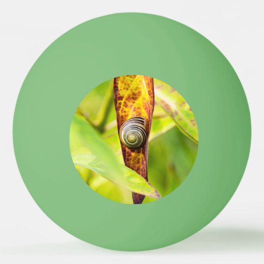 ruhige Bindung Tischtennisball (Rückseite)