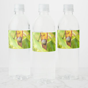ruhige Bindung Wasserflaschenetikett