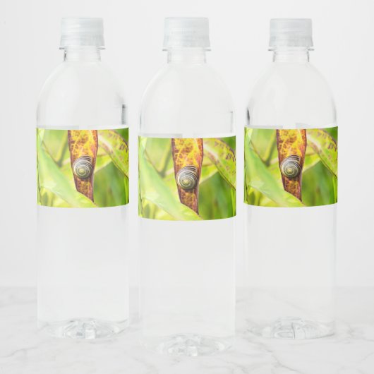 ruhige Bindung Wasserflaschenetikett (Flaschen)