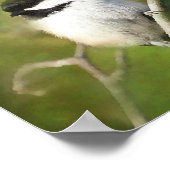 Ruhige Chickadee - ETSY Poster (Ecke)