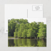 ruhige Cove Postkarte (Vorne/Hinten)